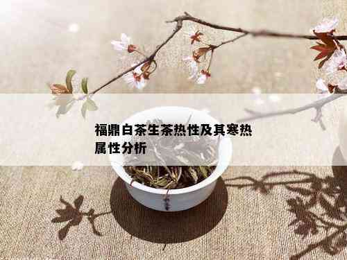 福鼎白茶生茶热性及其寒热属性分析