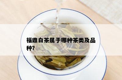 福鼎白茶属于哪种茶类及品种？