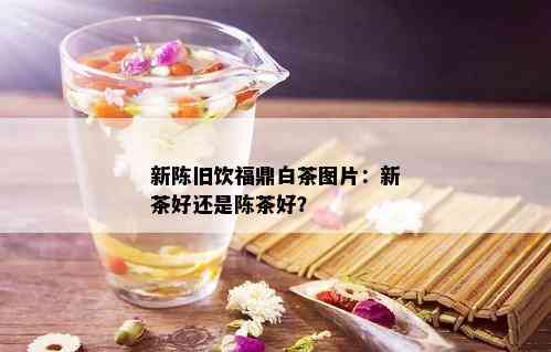 新陈旧饮福鼎白茶图片：新茶好还是陈茶好？