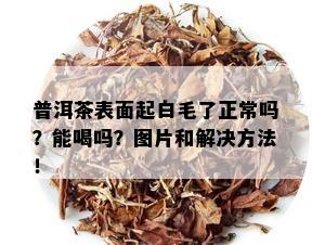 普洱茶表面起白毛了正常吗？能喝吗？图片和解决方法！