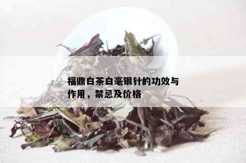 福鼎白茶白毫银针的功效与作用，禁忌及价格