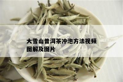 大雪山普洱茶冲泡方法视频图解及图片