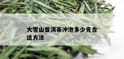 大雪山普洱茶冲泡多少克合适方法