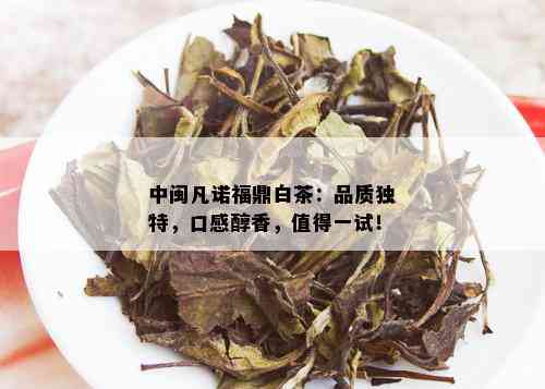 中闽凡诺福鼎白茶：品质独特，口感醇香，值得一试！