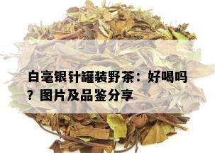 白毫银针罐装野茶：好喝吗？图片及品鉴分享