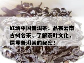 红动中国普洱茶：品尝云南古树名茶，了解茶叶文化，探寻普洱茶的秘密！