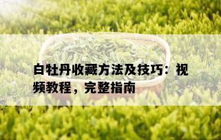 白牡丹收藏方法及技巧：视频教程，完整指南