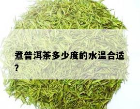 煮普洱茶多少度的水温合适？