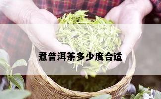 煮普洱茶多少度合适