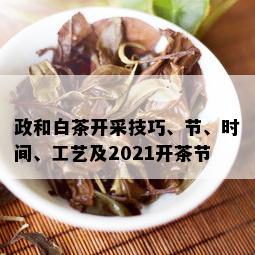 政和白茶开采技巧、节、时间、工艺及2021开茶节