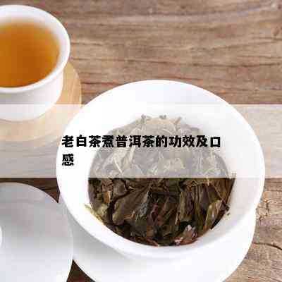 老白茶煮普洱茶的功效及口感