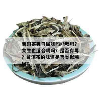 普洱茶有鸟屎味吗能喝吗？女生也适合喝吗？是否有？普洱茶的味道是否类似鸡屎？