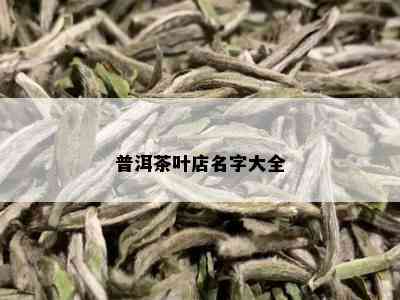 普洱茶叶店名字大全