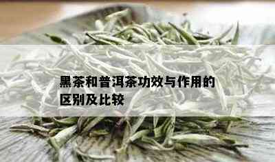 黑茶和普洱茶功效与作用的区别及比较