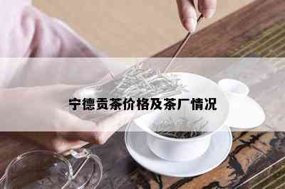 宁德贡茶价格及茶厂情况