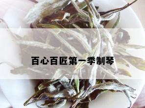 百心百匠之一季制琴