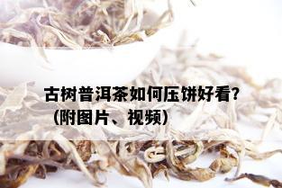 古树普洱茶如何压饼好看？（附图片、视频）