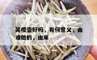 笑樱壶好吗，有何意义，由谁做的，由来