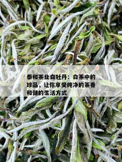 泰和茶业白牡丹：白茶中的珍品，让你享受纯净的茶香和健的生活方式