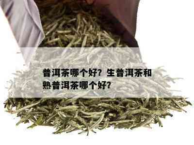 普洱茶哪个好？生普洱茶和熟普洱茶哪个好？