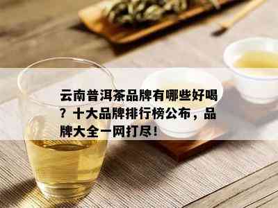 云南普洱茶品牌有哪些好喝？十大品牌排行榜公布，品牌大全一网打尽！