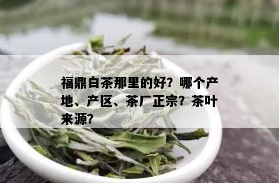 福鼎白茶那里的好？哪个产地、产区、茶厂正宗？茶叶来源？