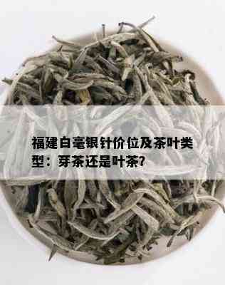 福建白毫银针价位及茶叶类型：芽茶还是叶茶？