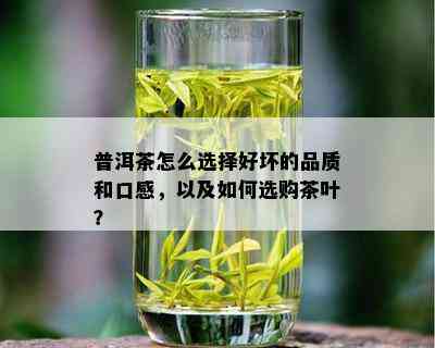 普洱茶怎么选择好坏的品质和口感，以及如何选购茶叶？