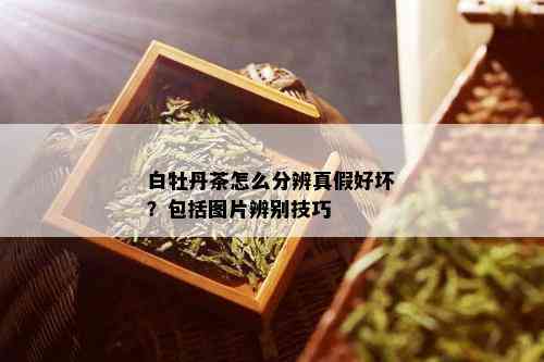 白牡丹茶怎么分辨真假好坏？包括图片辨别技巧