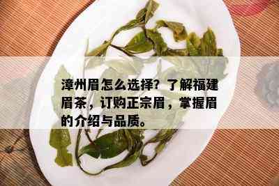 漳州眉怎么选择？了解福建眉茶，订购正宗眉，掌握眉的介绍与品质。