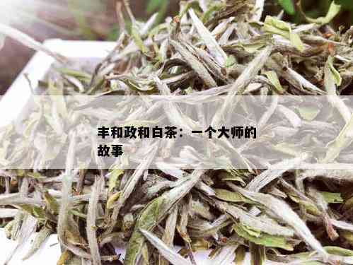 丰和政和白茶：一个大师的故事