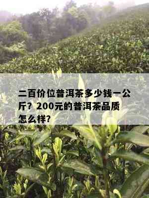 二百价位普洱茶多少钱一公斤？200元的普洱茶品质怎么样？