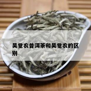 吴觉农普洱茶和吴觉农的区别