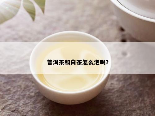 普洱茶和白茶怎么泡喝？