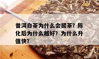 普洱白茶为什么会醒茶？陈化后为什么越好？为什么升值快？