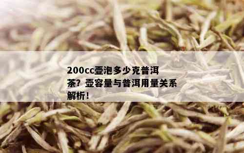 200cc壶泡多少克普洱茶？壶容量与普洱用量关系解析！