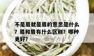 不是眉就是眉的意思是什么？眉和眉有什么区别？哪种更好？