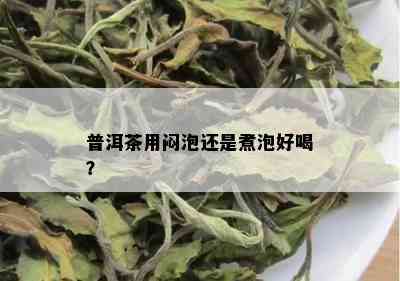 普洱茶用闷泡还是煮泡好喝？