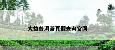 大益普洱茶真假查询官网