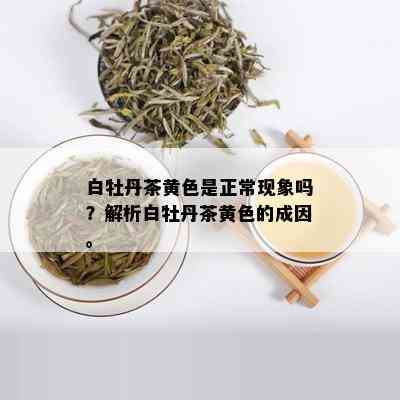 白牡丹茶黄色是正常现象吗？解析白牡丹茶黄色的成因。