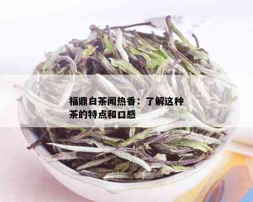 福鼎白茶闻热香：了解这种茶的特点和口感