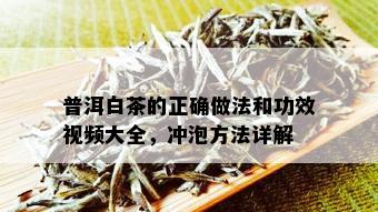 普洱白茶的正确做法和功效视频大全，冲泡方法详解