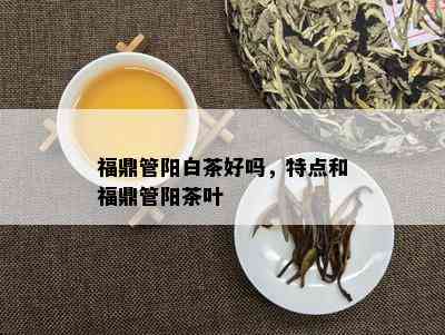 福鼎管阳白茶好吗，特点和福鼎管阳茶叶