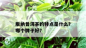 版纳普洱茶的特点是什么？哪个牌子好？