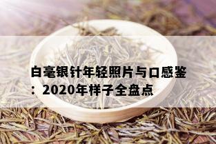 白毫银针年轻照片与口感鉴：2020年样子全盘点