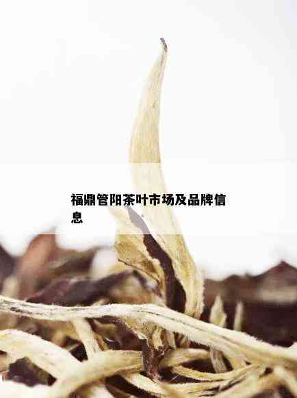 福鼎管阳茶叶市场及品牌信息