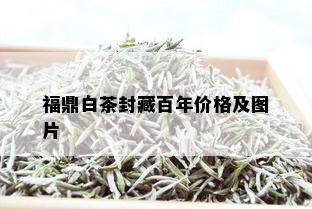 福鼎白茶封藏百年价格及图片