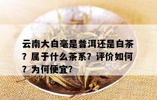 云南大白毫是普洱还是白茶？属于什么茶系？评价如何？为何便宜？