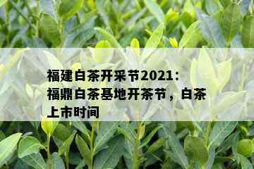 福建白茶开采节2021：福鼎白茶基地开茶节，白茶上市时间