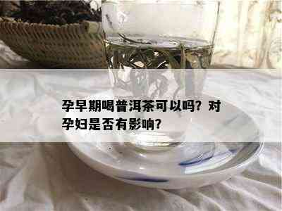 孕早期喝普洱茶可以吗？对孕妇是否有影响？